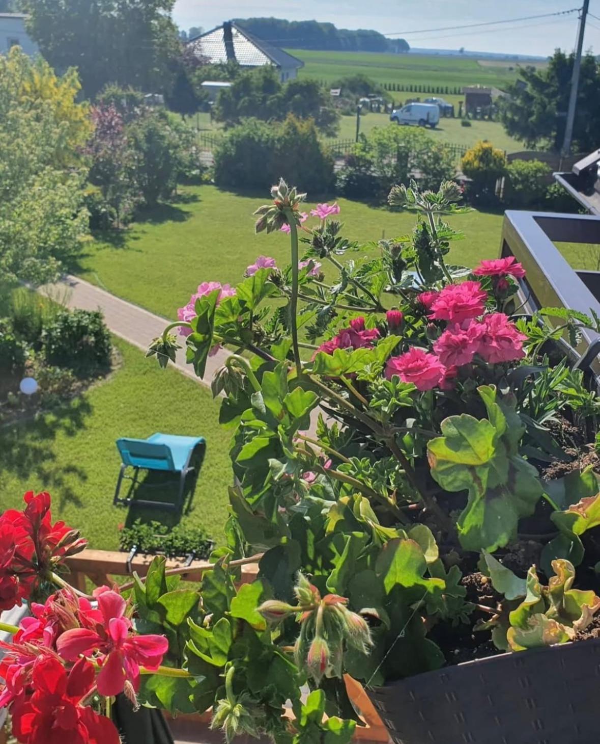 Apartamenty Na Baltyckiej Choczewo Exterior foto